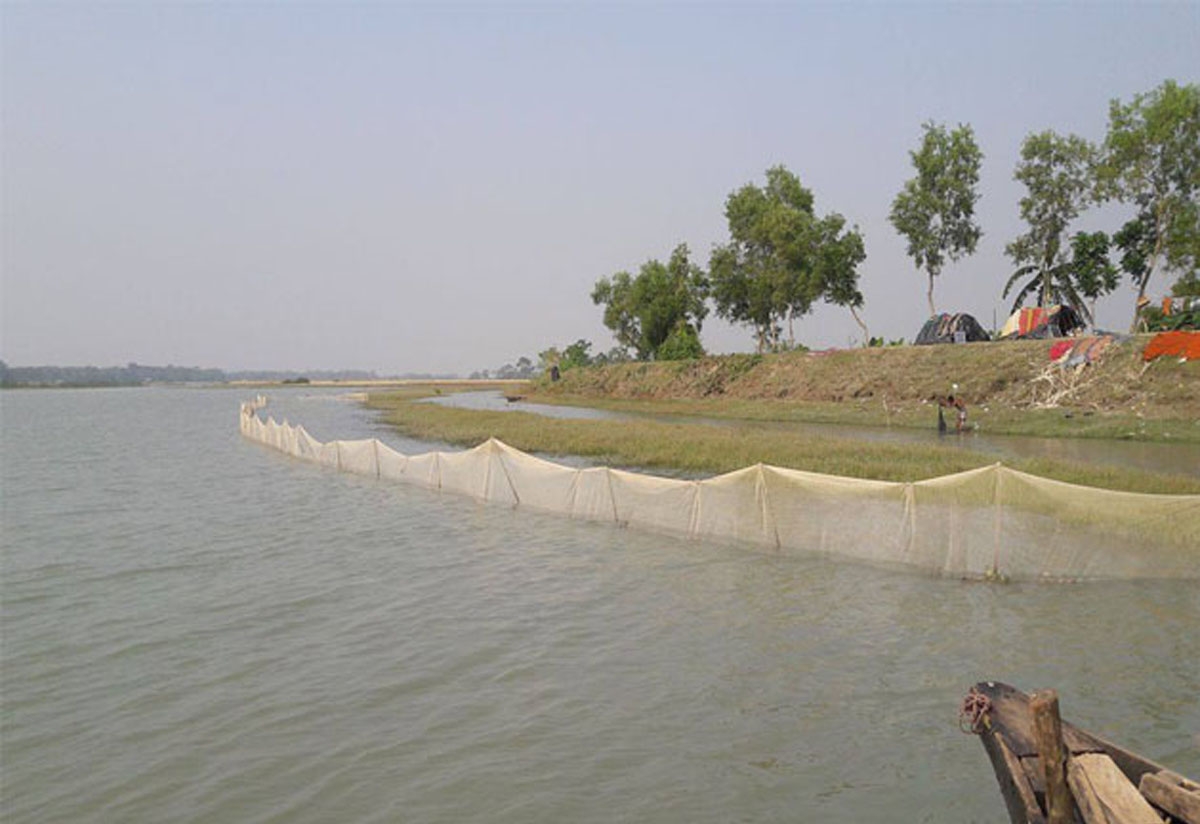 তেঁতুলিয়া ও লোহালিয়া নদীতে নিষিদ্ধ জালে মাছ শিকার