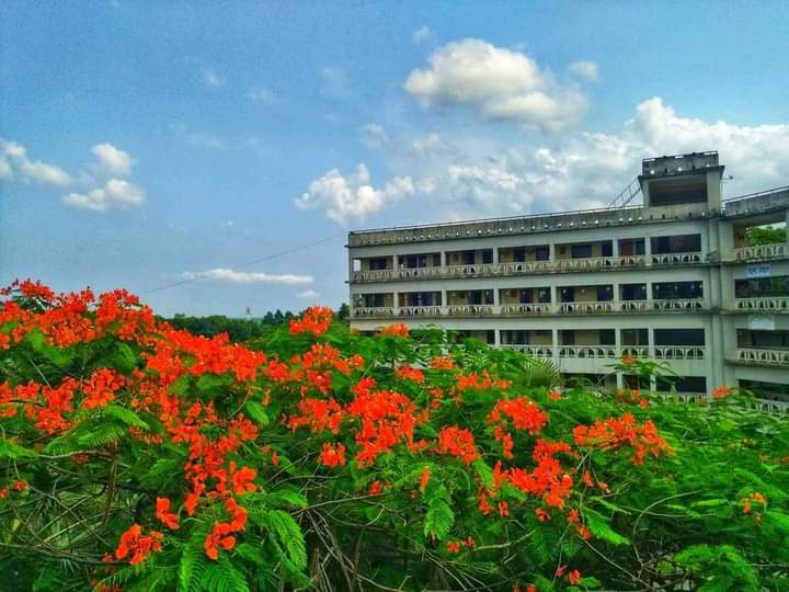 কুবিতে কর্মকর্তাকে ‘ম্যাডাম’ না বলায় সার্টিফিকেট আটকে রাখার হুমকি